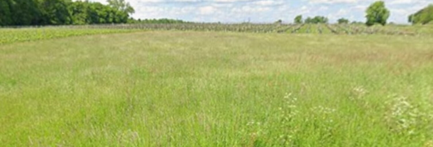 Terrain  316 m² à vendre à Abzac (33230)