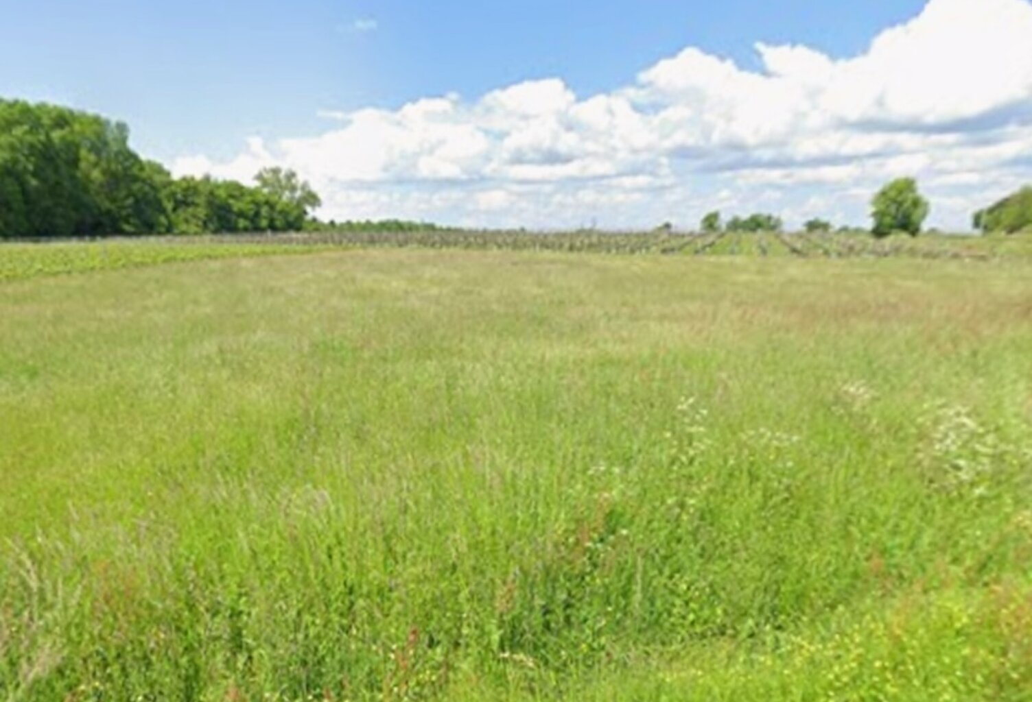 Terrain à bâtir à Abzac (33230) — photo 1