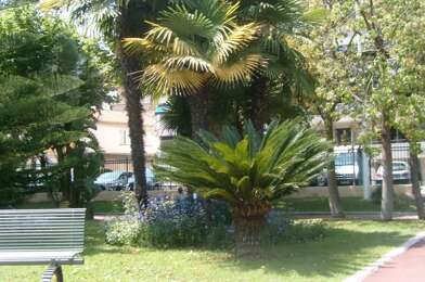 Appartement 1 pièces 660 €