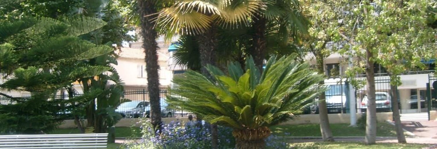 Appartement 1 Pièce 28 m² à louer à Cannes (06150)