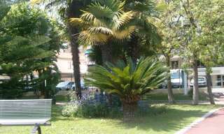 Appartement 1 Pièce 28 m² à louer à Cannes (06150)
