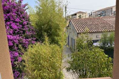 Appartement 1 pièces 550 €