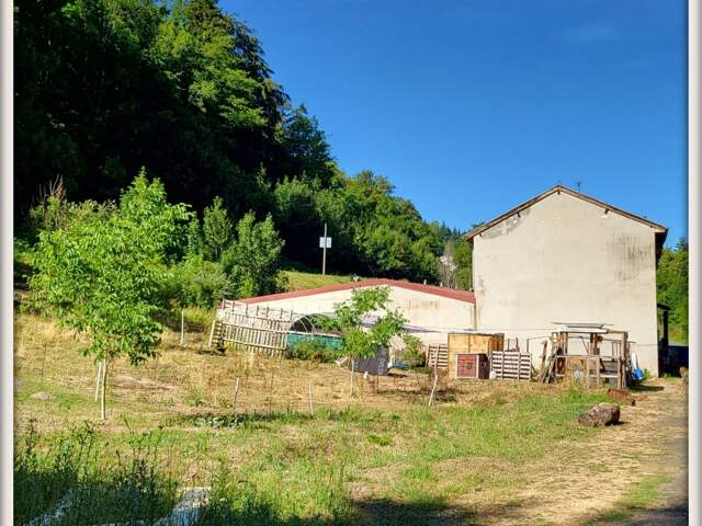 Maison à vendre 13 pièces LA MONNERIE LE MONTEL (63) — photo du bien