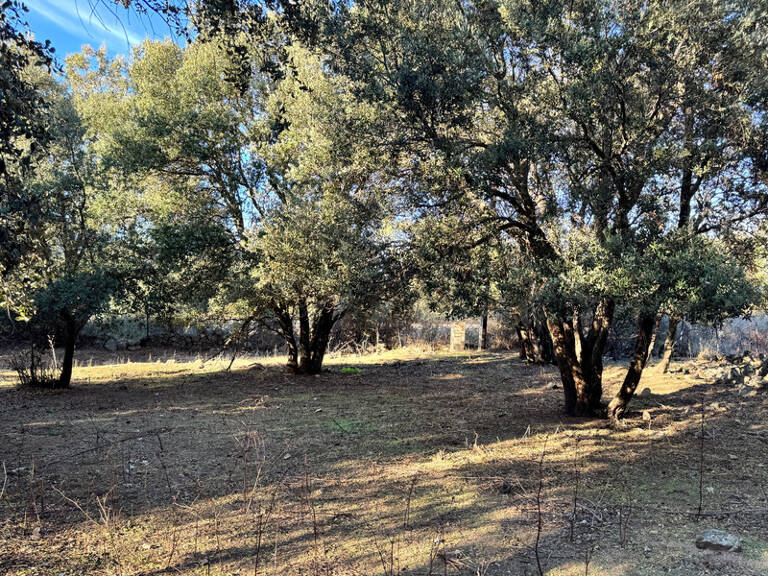 Terrain 3250 m2 avec batiment de 200m2 habitables à vendre, proche de L'ILE ROUSSE (20) — photo 1