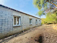 Terrain 3250 m2 avec batiment de 200m2 habitables à vendre, proche de L'ILE ROUSSE (20) — photo 3