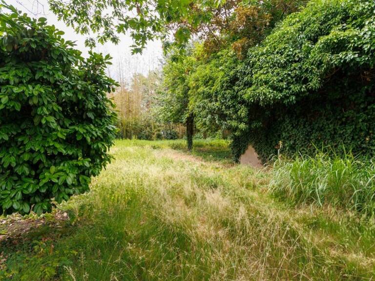 À vendre en exclusivité – Immeuble de rapport en plein cœur de PARAY LE MONIAL (71) — photo 1