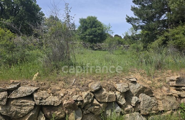 Terrain à vendre  CALACUCCIA (20) — photo 4