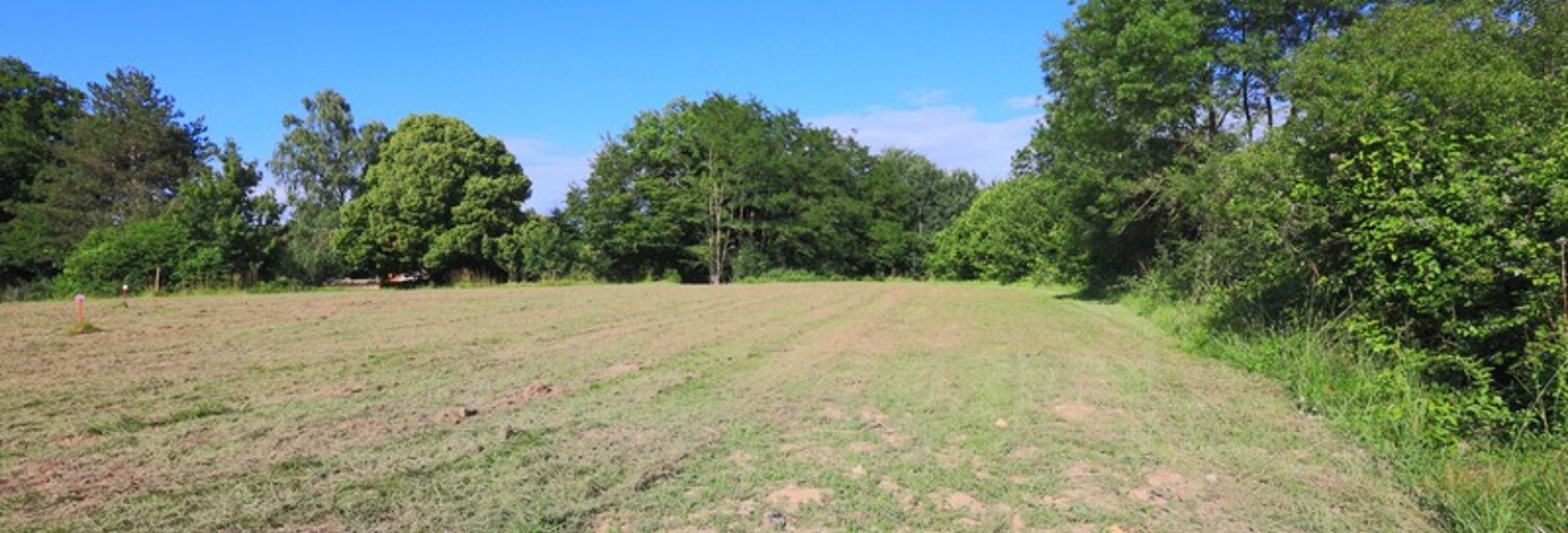 Terrain  788 m² à vendre à Foissiat (01340)