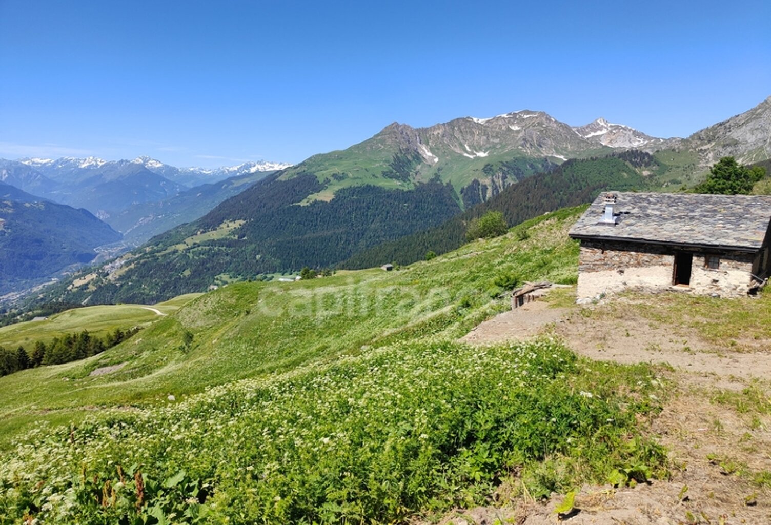 CHALET D'ALPAGE VUE EXCEPTIONNELLE LA PLAGNE-TARENTAISE (73210) — photo 1