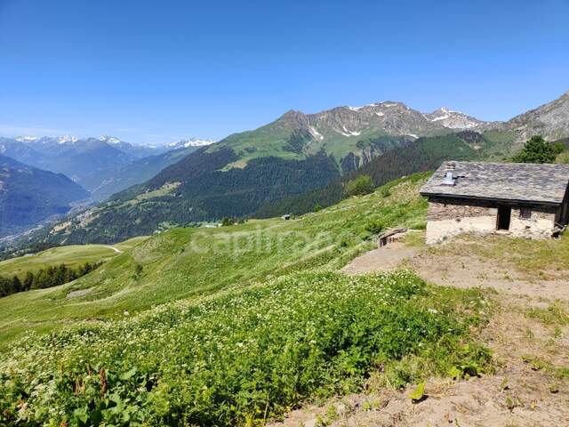 CHALET D'ALPAGE VUE EXCEPTIONNELLE LA PLAGNE-TARENTAISE (73210) — photo du bien