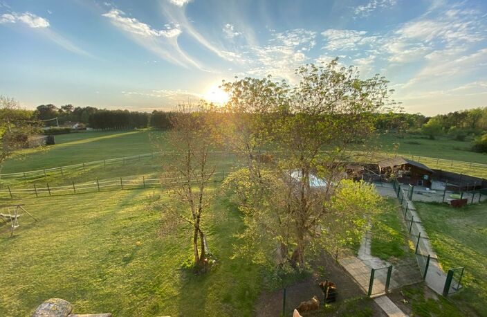 Magnifique propriété - Habitation de 456m² et Hangar de 360m2 à SAINT CHRISTOLY DE BLAYE (33) — photo 3