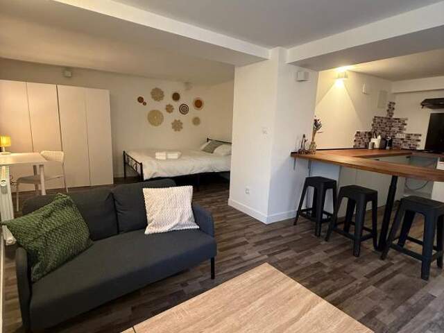 Studio MEUBLE de 33,42 m2 à louer — photo du bien