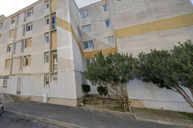 Appartement 3 pièces 589 €