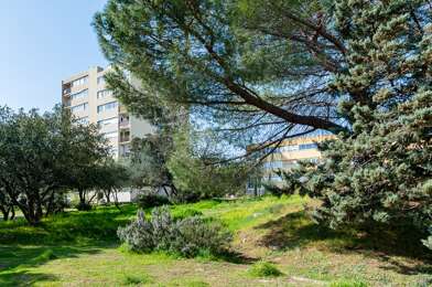 Appartement 3 pièces 638 €