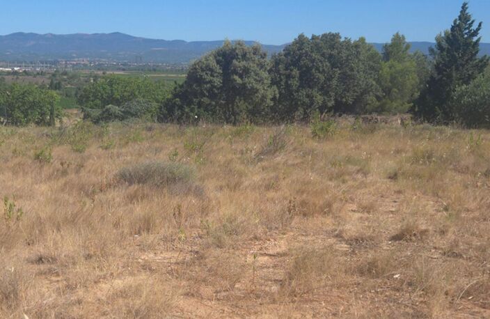 ESCALES ,10 mn de LEZIGNAN , TERRAIN VIABILISE 1340 m2 — photo 4