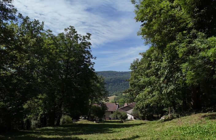Maison en pierres avec 3 chambres, proche de la rivière d'Ain ? Coisia (Thoirette-Coisia) — photo 5