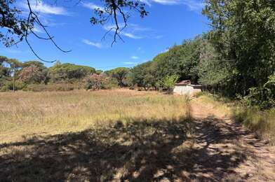 Terrain  87000 €