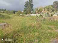 Terrain  790 m2  constructible et viabilisé situé au Plate St Leu 97424 — photo 2