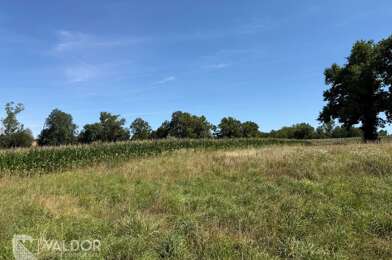 Terrain  85000 €