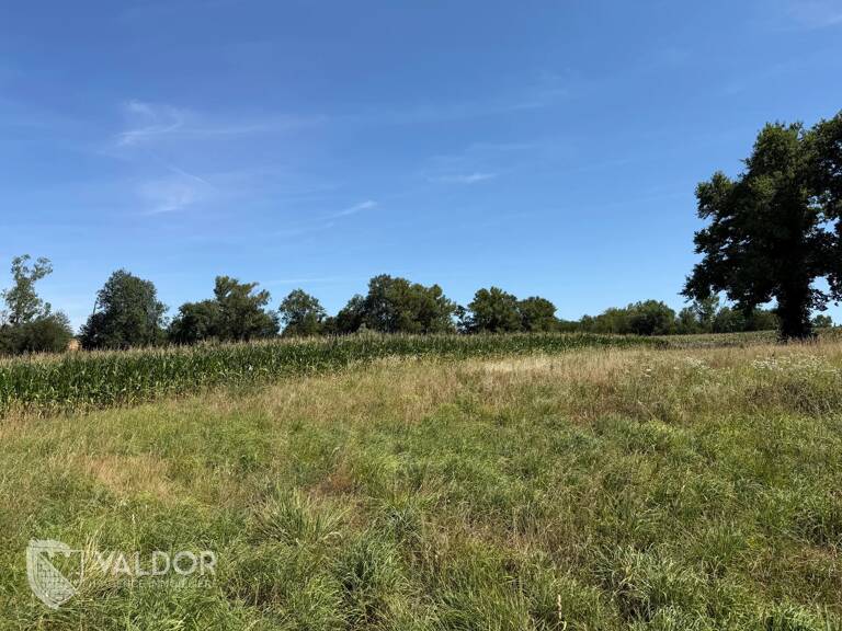 Terrain 367m2 — photo 1