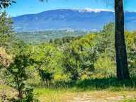 À vendre : Venasque - Les Monts du Vaucluse – Authentique Tour d — photo 3