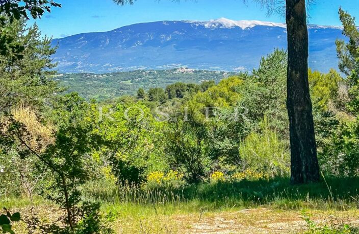 À vendre : Venasque - Les Monts du Vaucluse – Authentique Tour d — photo 3