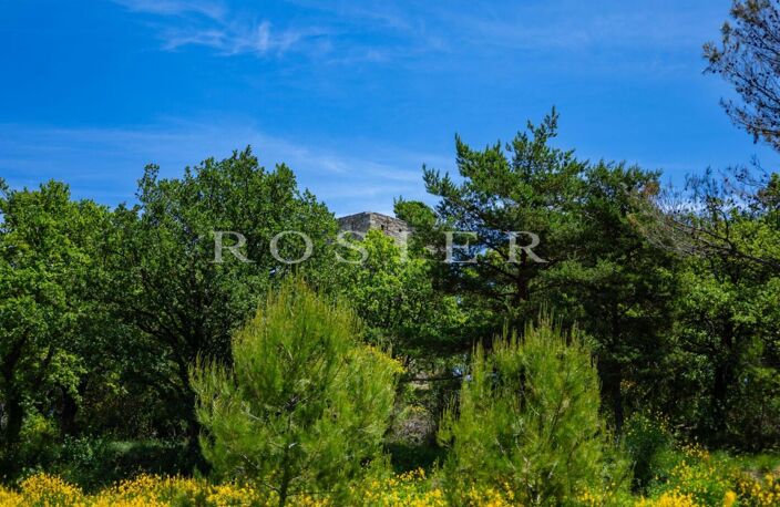À vendre : Venasque - Les Monts du Vaucluse – Authentique Tour d — photo 4