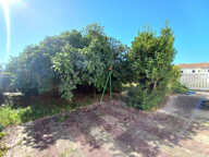 Maison de plain-pied à rafraîchir - Proche centre-ville — photo 4