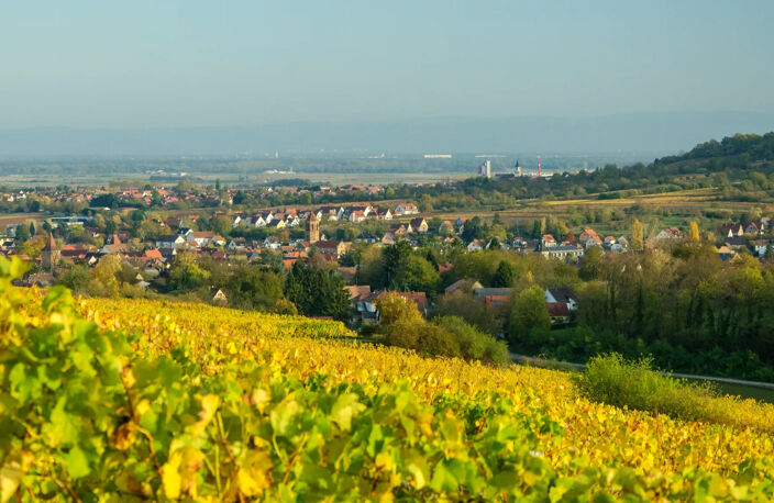 TERRAIN ECKWERSHEIM  PROXIMITE IMMEDIATE DE VENDENHEIM ET MU — photo 3