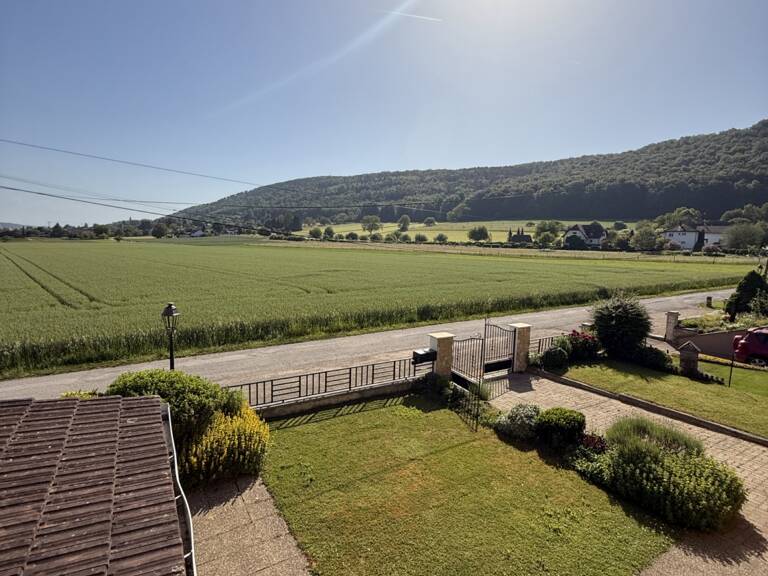 Réf: 11174*** Sect. Leymen - Rodersdorf SO Suisse: Magnifique propriété très soignée et spacieuse env. 330 m² — photo 1