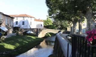 Photo N° 2