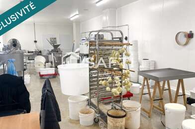 Commerce 6 pièces 825000 €