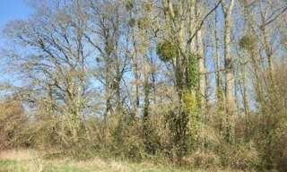 Terrain  5805 m² à vendre à Jublains (53160)