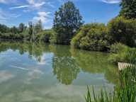 Magnifique plan d'eau avec plusieurs spots — photo 3