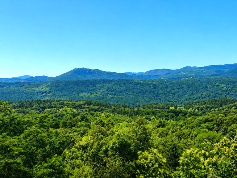 TERRAIN DE 960M2 EN ZONE NATURELLE DANS LE VILLAGE DE ZONZA — photo 1