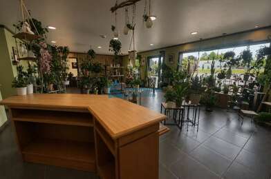 Commerce 3 pièces 45000 €