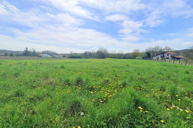 Terrain  45000 €