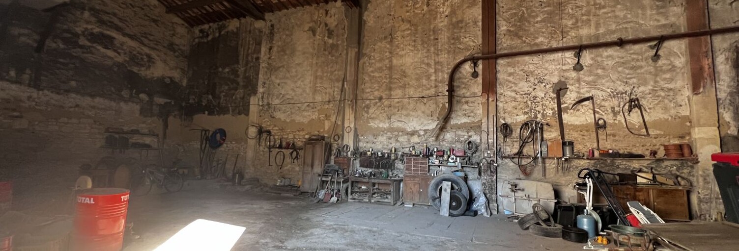 Divers 1 Pièce 250 m² à vendre à Saint-Gilles (30800)