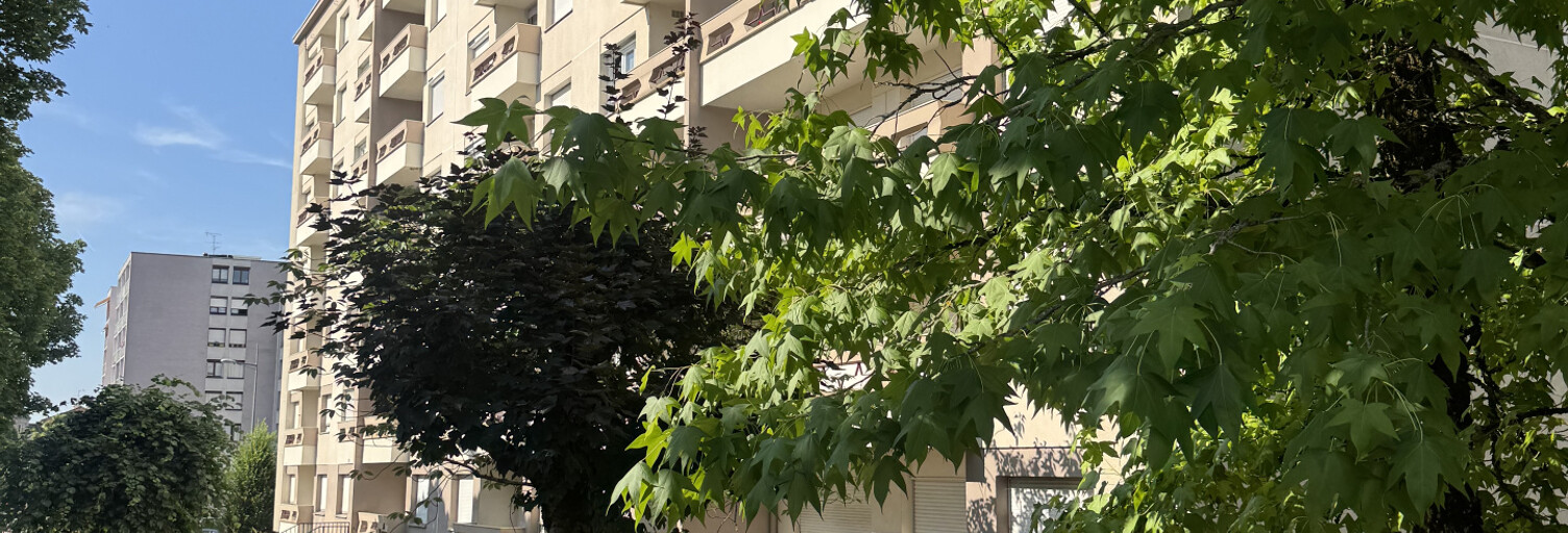 Appartement 5 Pièces 95 m² à vendre à Limoges (87000)