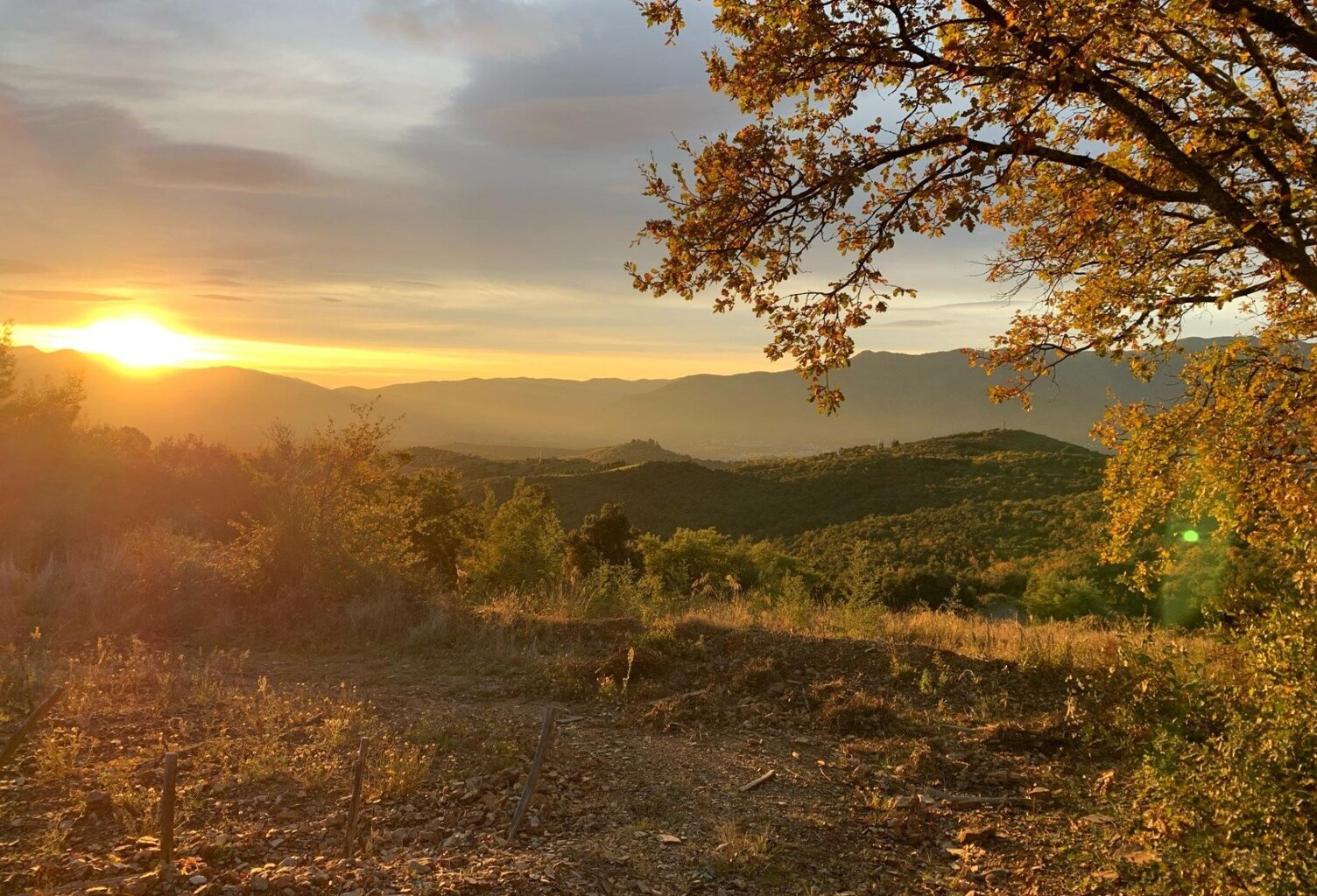 Domaine agricole d'exception au cœur des Aspres — photo 1