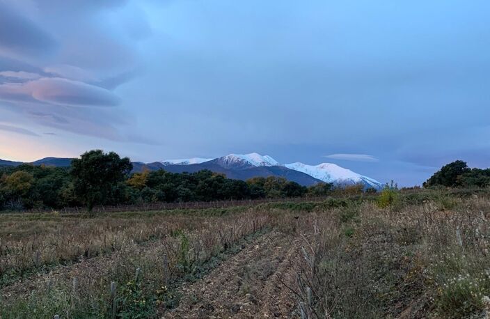 Domaine agricole d'exception au cœur des Aspres — photo 3