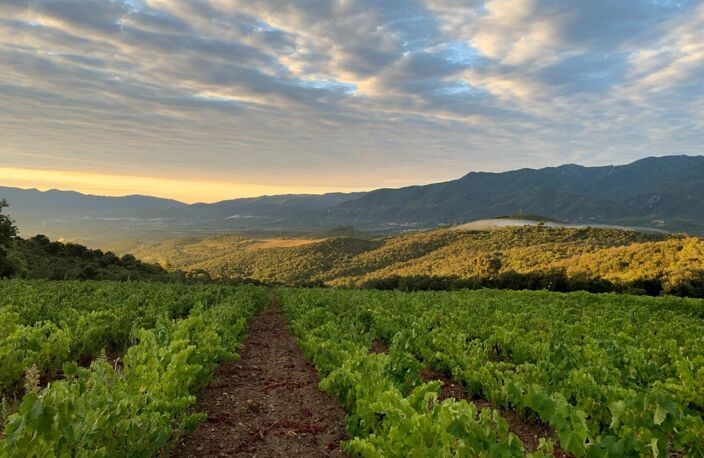 Domaine agricole d'exception au cœur des Aspres — photo 5