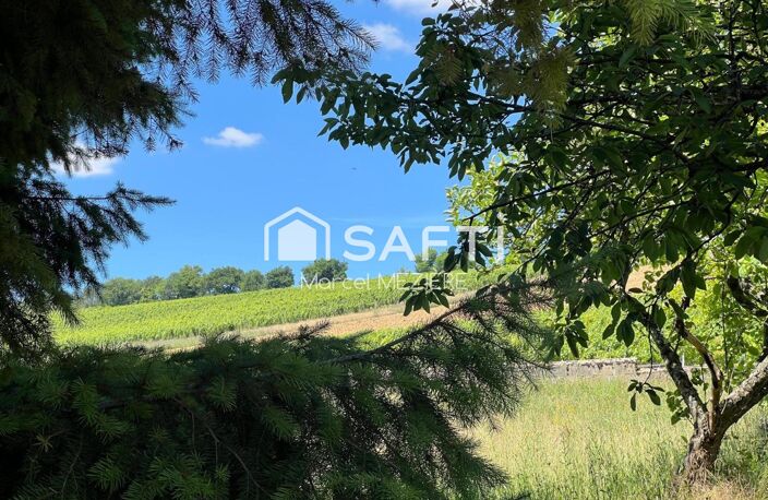 Très jolie propriété dans un vignoble mondialement connu — photo 3