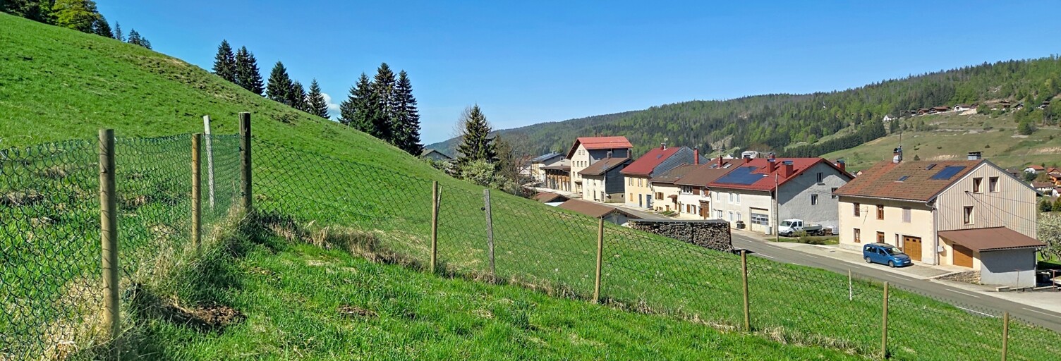 Photo N° 2