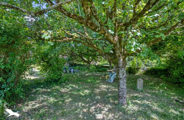 Maison en pierre de 7 pièces principales — photo 4