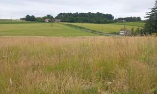 Terrain  931 m² à vendre à Mortiers (17500)