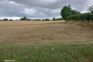 Terrain  20000 €