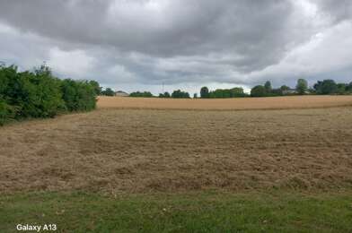 Terrain  20000 €