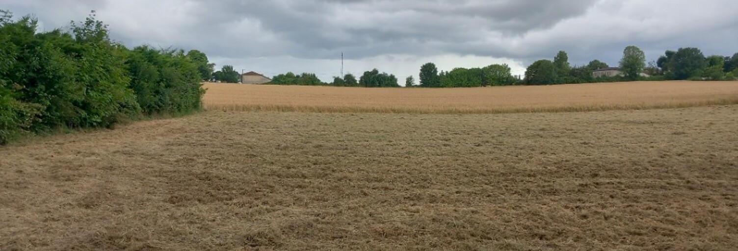 Terrain  1105 m² à vendre à Ozillac (17500)