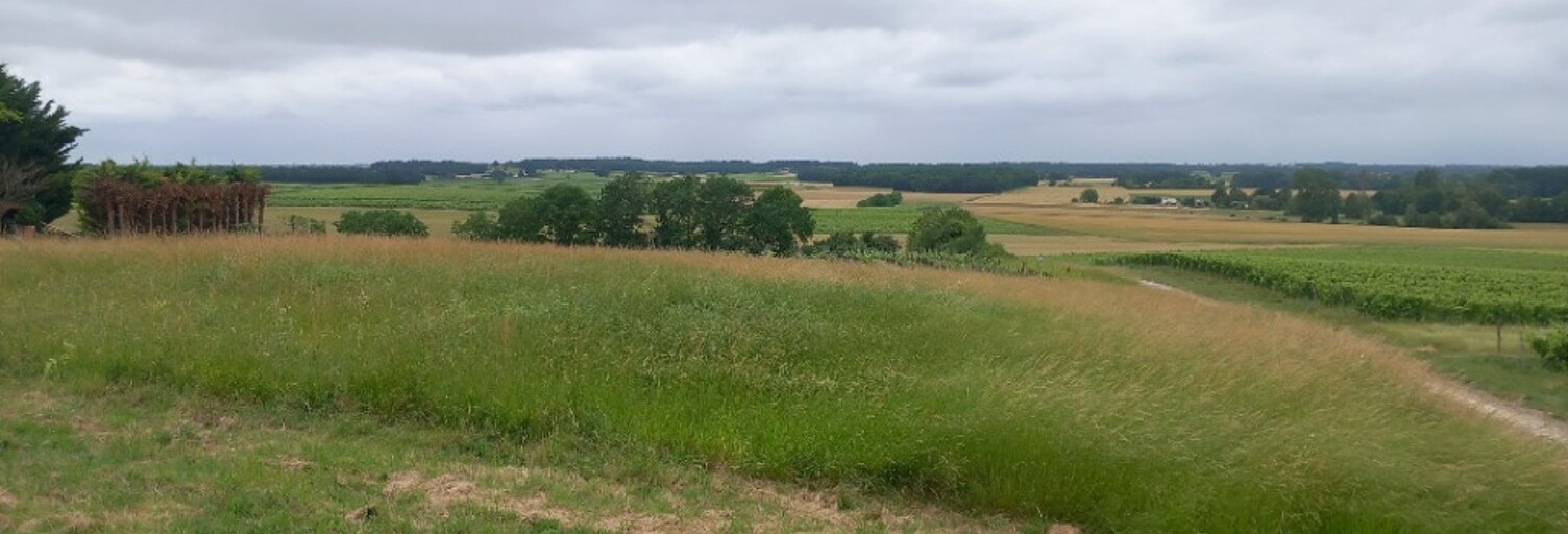 Terrain  2580 m² à vendre à Saint-Maigrin (17520)